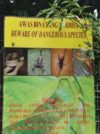 Dangerous Species, in KL