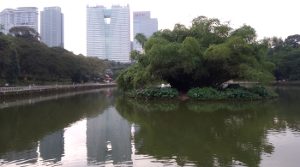Kleiner See, mitten in der Stadt