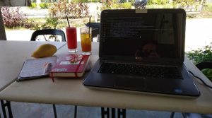 SAS web development Office in Langkawi